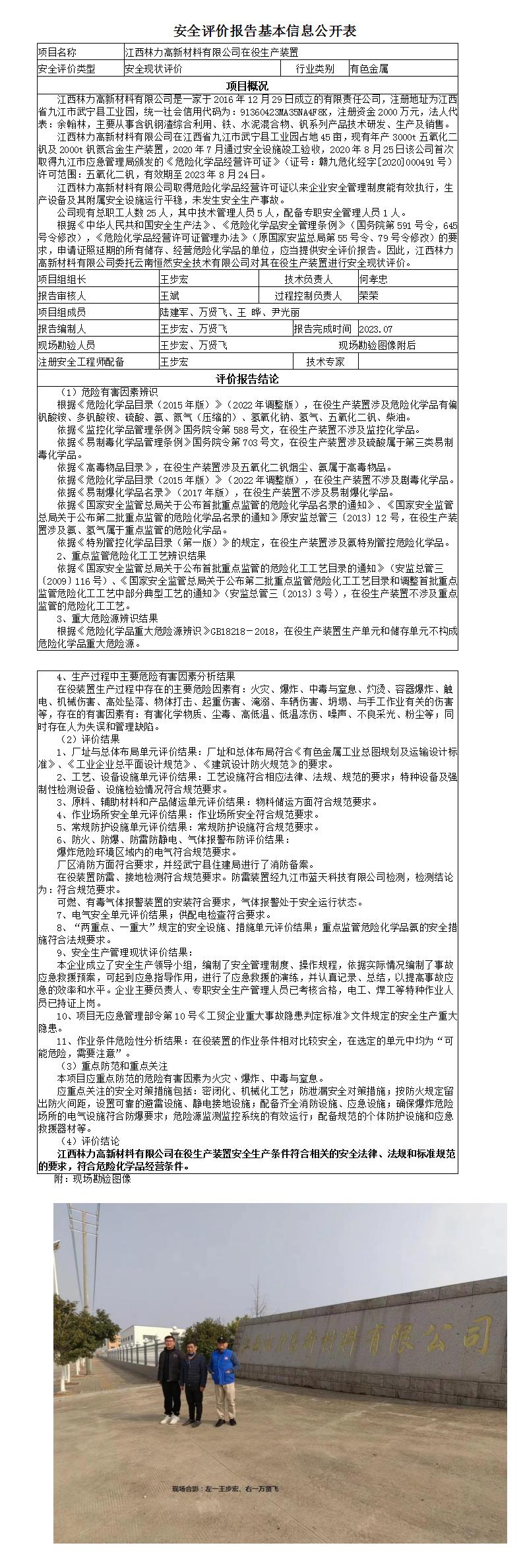 安全评价报告基本信息公开表（林力现状）