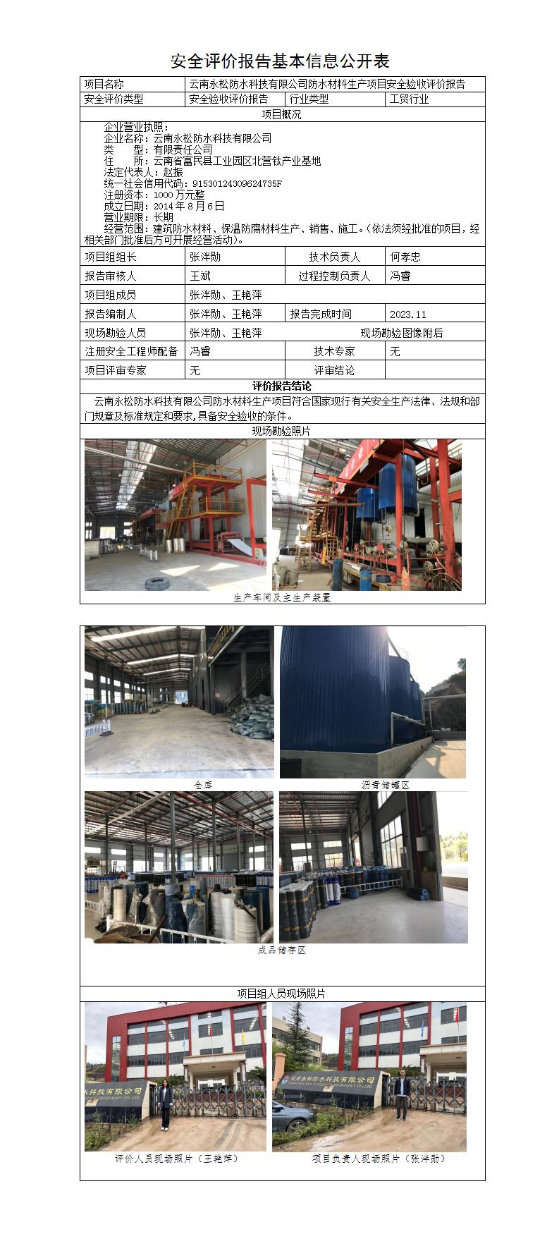 安全评价报告基本信息公开表（永松）