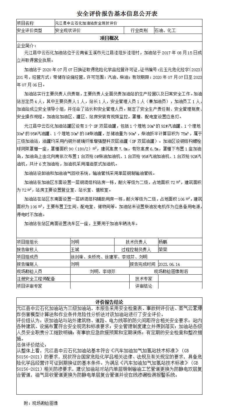 安全评价报告基本信息公开表元江中云