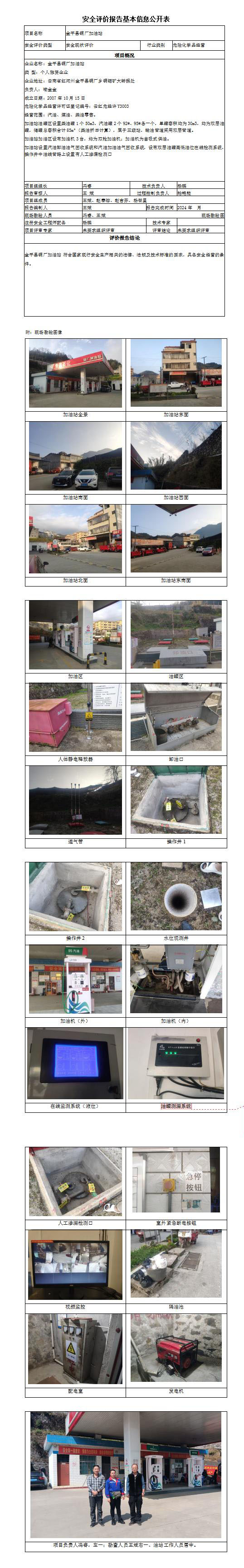 安全评价报告基本信息公开表 金平县铜厂