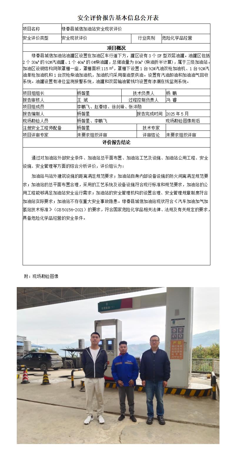 （城信加油站）安全评价报告基本信息公开表