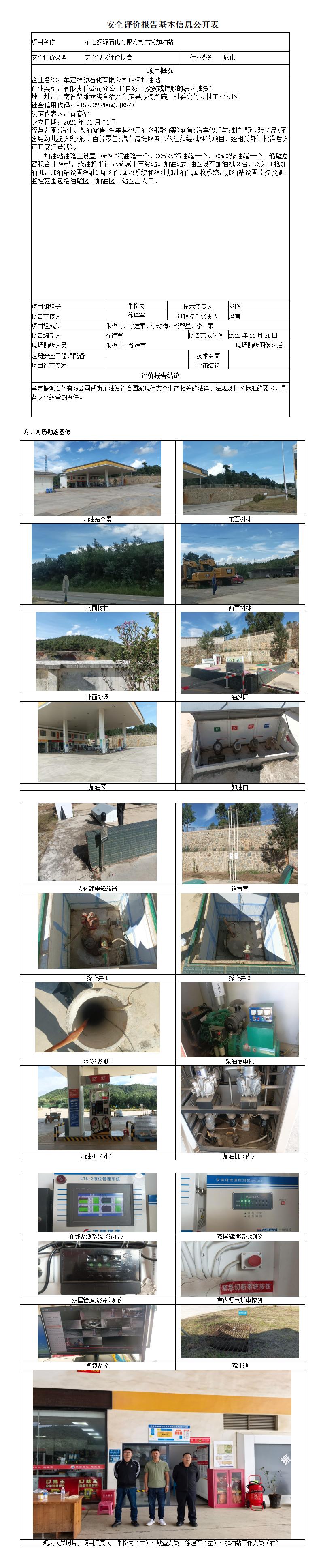 安全评价报告基本信息公开表 (牟定振源石化有限公司戌街加油站)