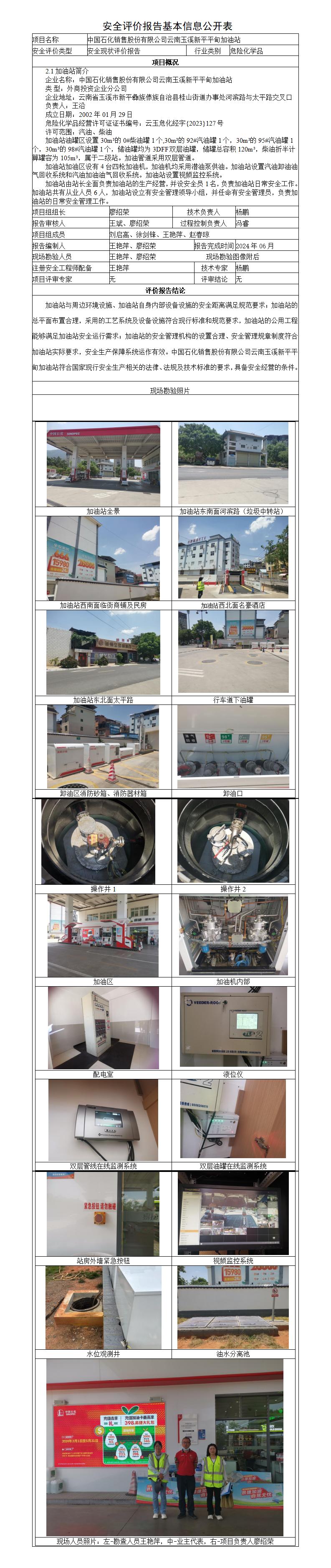 安全评价报告基本信息公开表新平平甸