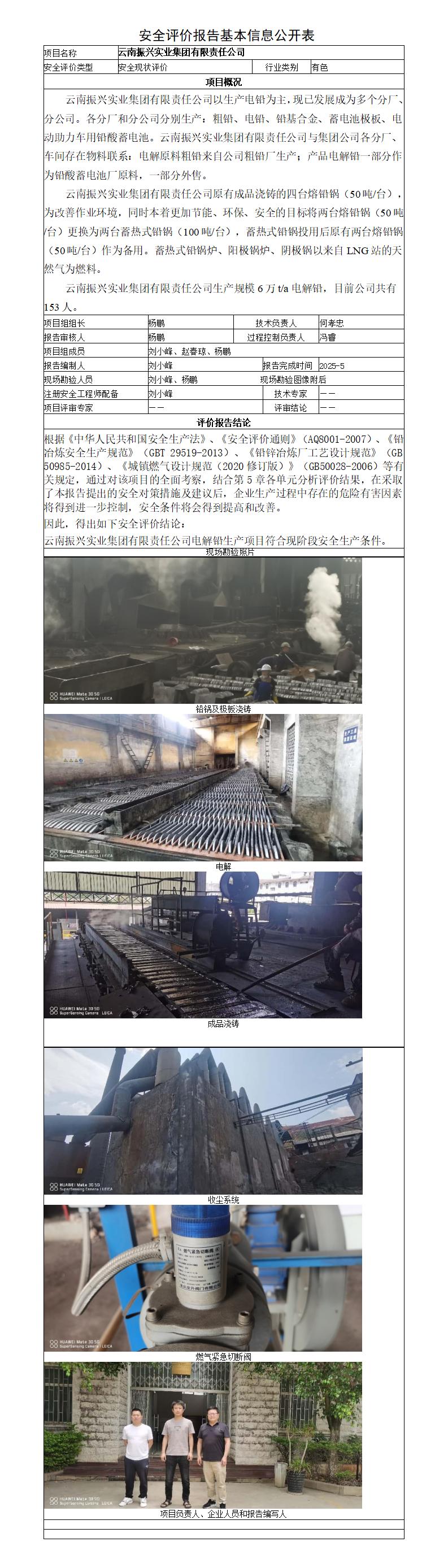 电铅安全评价报告基本信息公开表