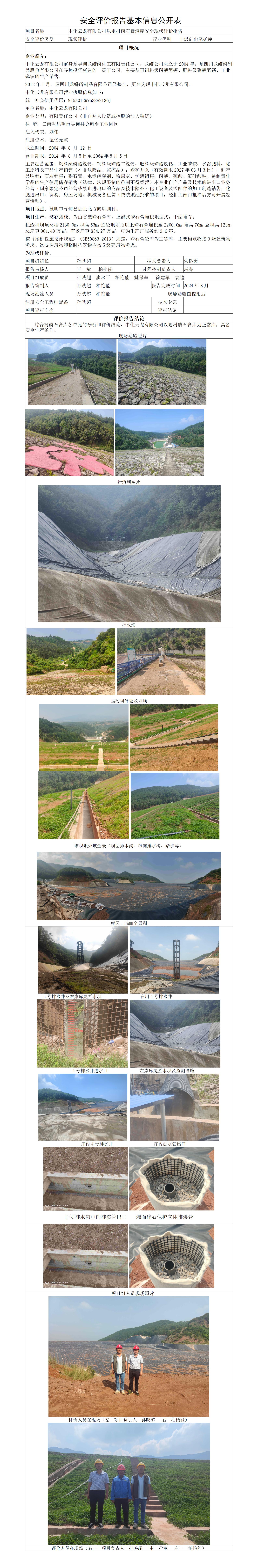 安全评价报告基本信息公开表（中化云龙）