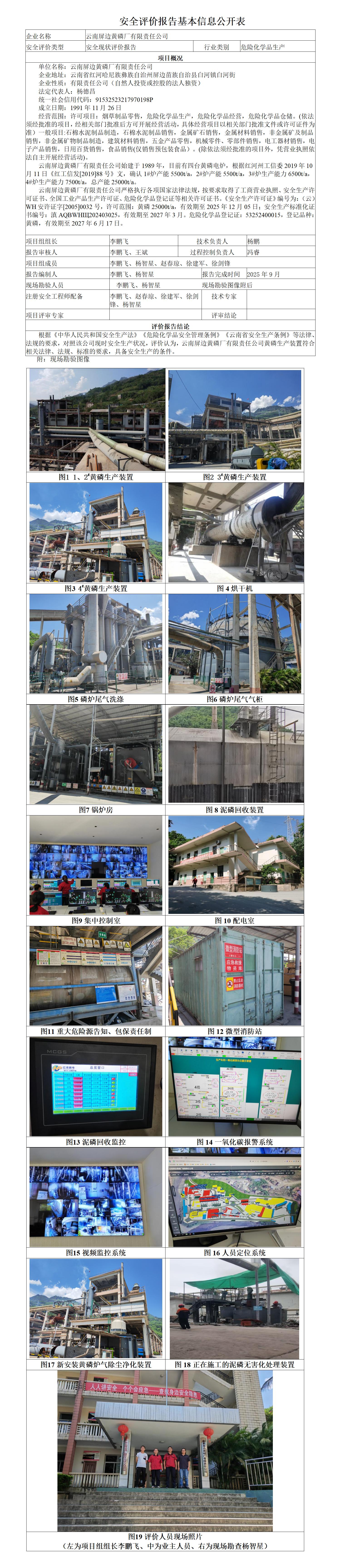 基本信息公开表屏边黄磷厂有限责任公司现状